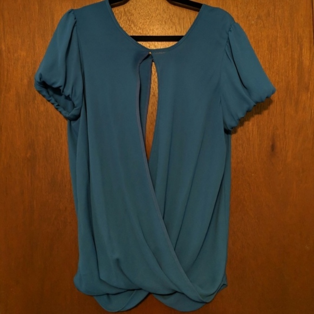 NY Collection Blue Blouse